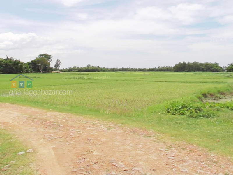 Land on Sale at Biratnagar Lakhantari
